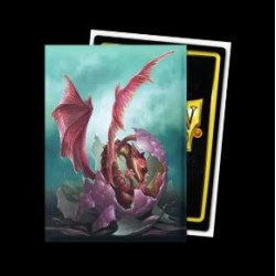 Dragon Shield - 100 Standard Size Brushed Art Sleeves - Art Wyngs